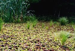 Image: Paul Champion © Paul Champion 